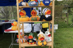Superducks on display before the Extreme Duck Race, which raised over £3000 for the Fisheries Trust
