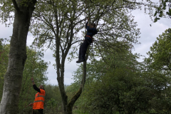 Young and old alike had a go at Tree Climbing with Logie Timber