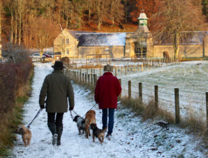 Dog walking in the snow at Logie Steading