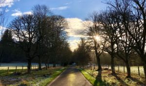 Logie Steading Drive in January