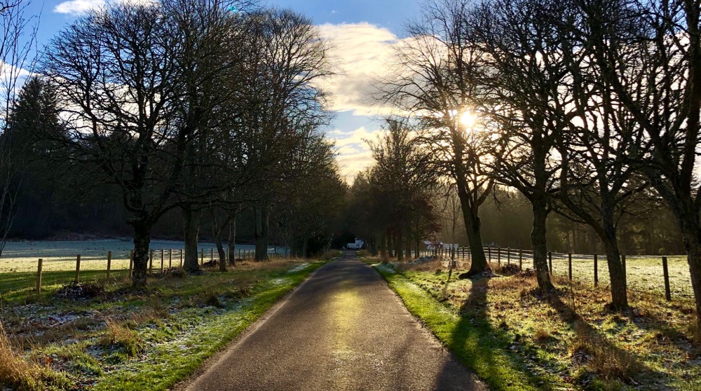 Logie Steading Drive in January