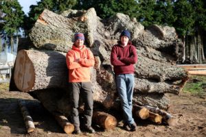 Mark and Alec Logie Timber Contact Us