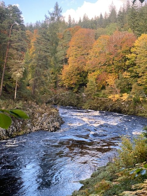 River Findhorn in Autumn