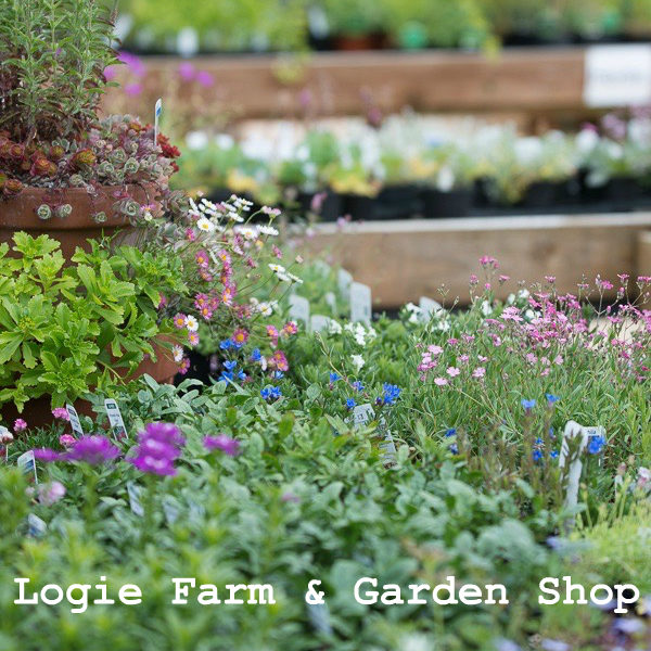 logie farm and garden whats here